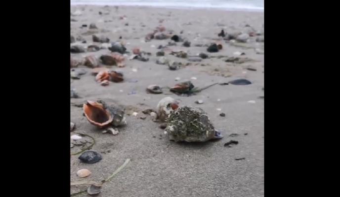 Bitrix 110680: izobrazhenie_2022_01_03_155037.png