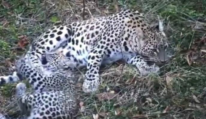 Bitrix 110823: izobrazhenie_2022_01_09_110925.png