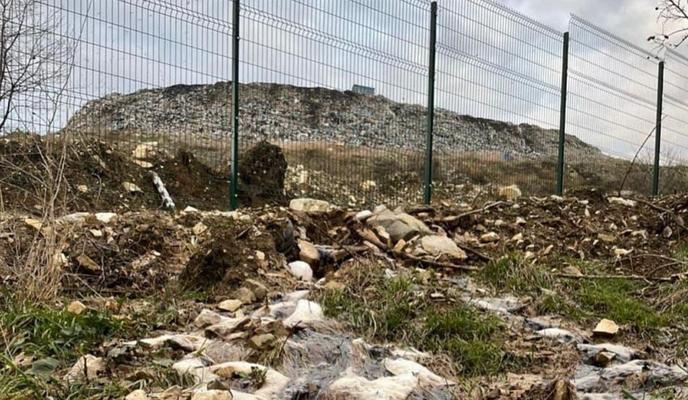 Bitrix 110915: izobrazhenie_2022_01_11_083102.png