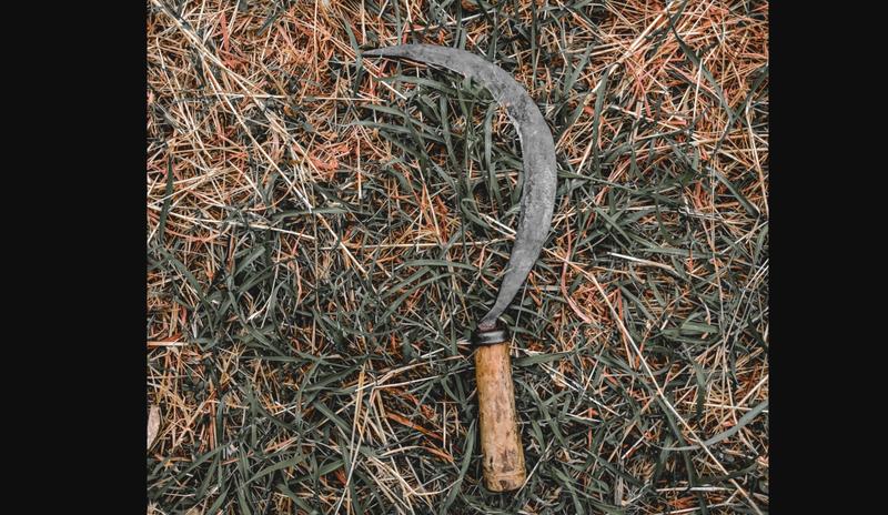 Bitrix 111234: izobrazhenie_2022_01_14_174901.png
