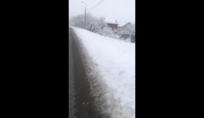 Bitrix 111903: izobrazhenie_2022_01_25_212914.png