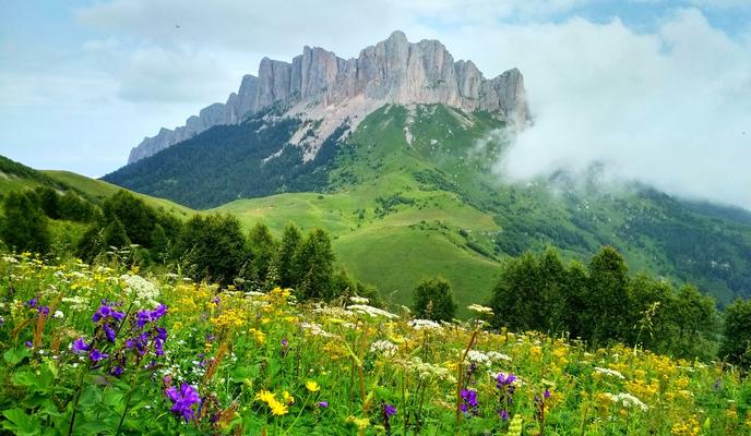 Bitrix 97284: j4Q5NmoO2nQ.jpeg