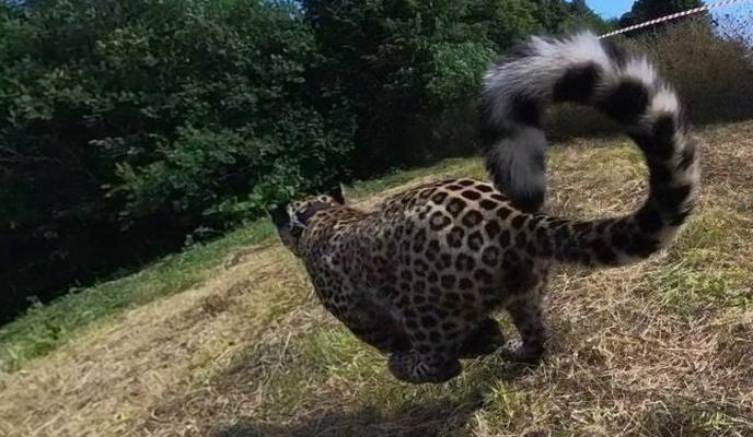 Bitrix 138824: jAMgC9tPzD4.jpg