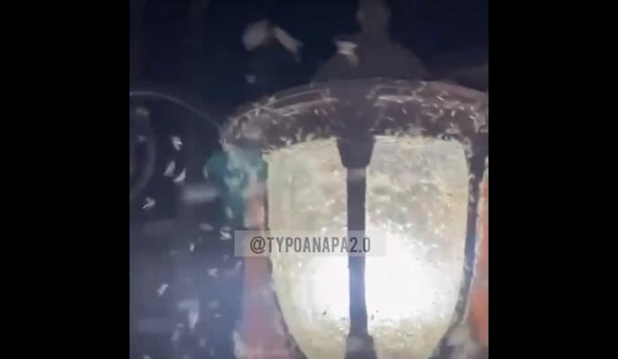 Bitrix 120894: jms0I9RXORG4HIo9Rhkle6BbIRRDzOEsni2xRsKKXq2L2wwKog_41L1O1XCIR5mavvFqxRivAa0zuQl0RRlKNOvK.jpg