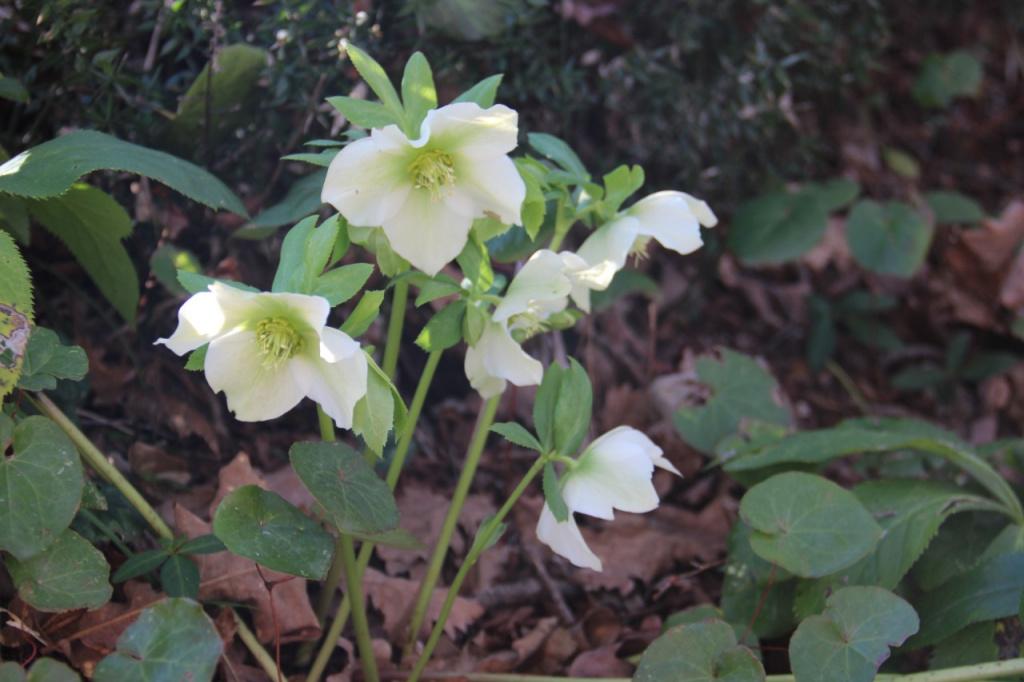 Bitrix 128776: k8mw1m1rj7lzpf22u2rhc3z3st93v3fh.jpeg