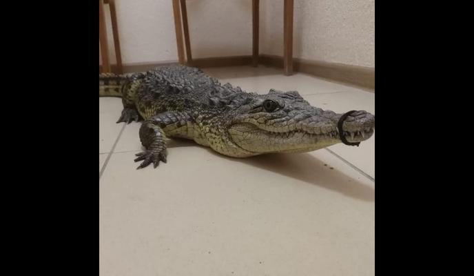 Bitrix 98734: kGvpE_1Px6A.jpg