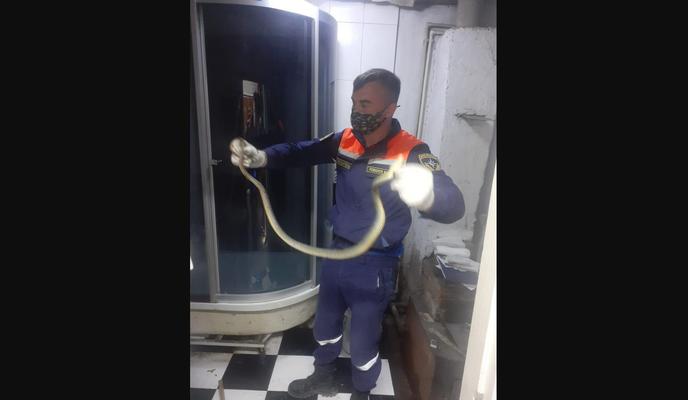 Bitrix 118658: kKNh2IetWccrNyjCS_Xr3FdMAsBeDDcGOY_rrRzVsX3SkWggPGK_K7ECLaI1ww_YGfg_TdzW0UBLWbZihEBnAT.jpg