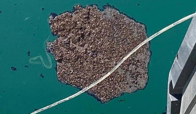 Bitrix 125759: kart.jpg