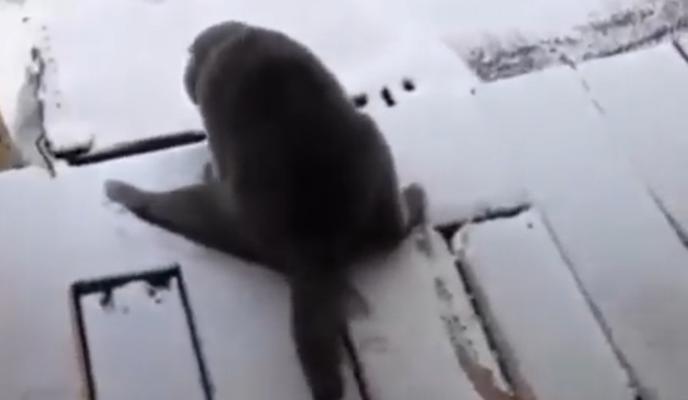 Bitrix 110105: ko.jpg