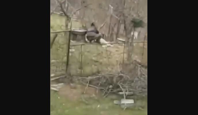 Bitrix 116527: lDCg8V_Ic2U.jpg