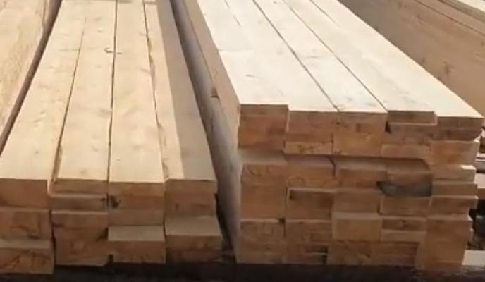 Bitrix 133812: les.jpg