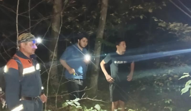 Bitrix 139031: les.jpg