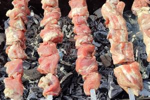 Bitrix 150574: mangal-ugol-shashlyk.jpg
