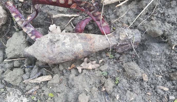 Bitrix 111242: mina-vremen-VOV.jpg