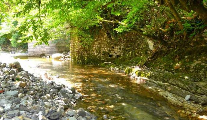 Bitrix 102507: mir_768x520.jpeg