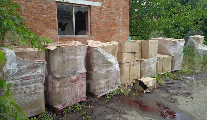 Bitrix 135217: mister-sidr.jpg