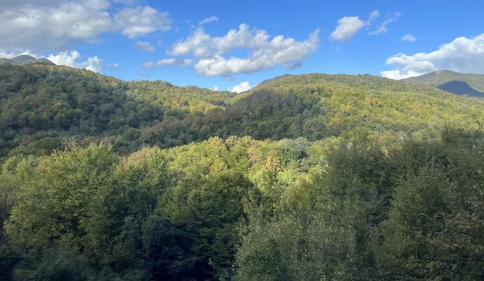 Bitrix 141182: moon_1527501_1280.jpg