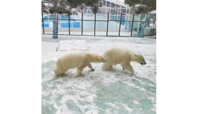 Bitrix 110257: mr_XBxGXaXI.jpg