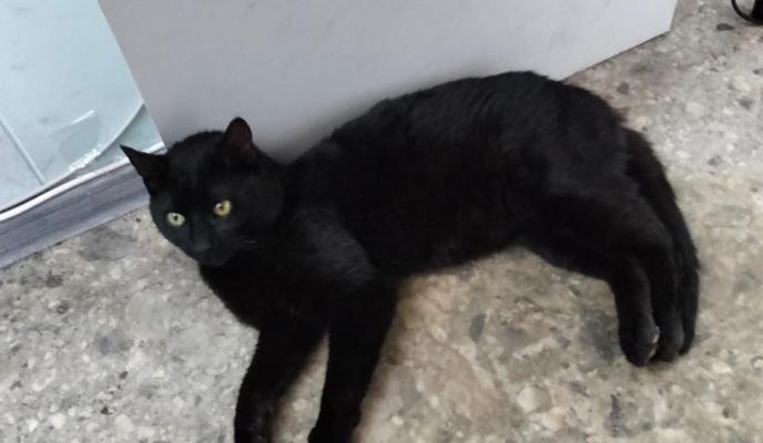 Bitrix 175262: naFWP2pHR50.jpeg