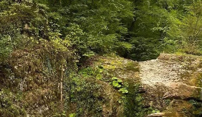 Bitrix 183018: natspark.jpg