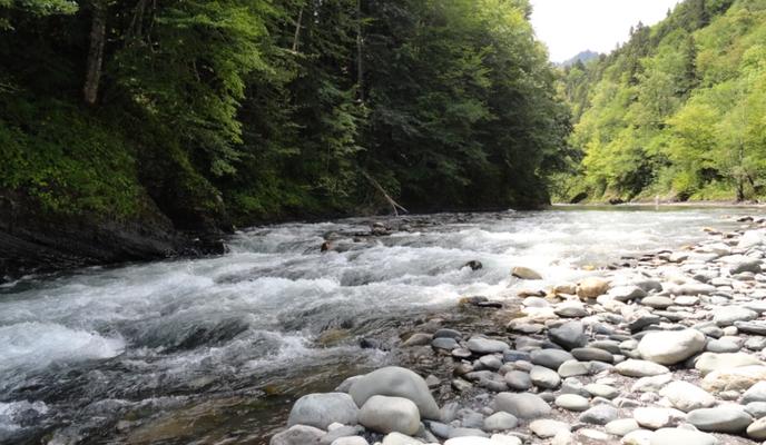 Bitrix 131724: newkuban_ru_1.jpg