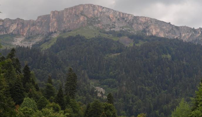 Bitrix 98557: newkuban_ru_3.jpg