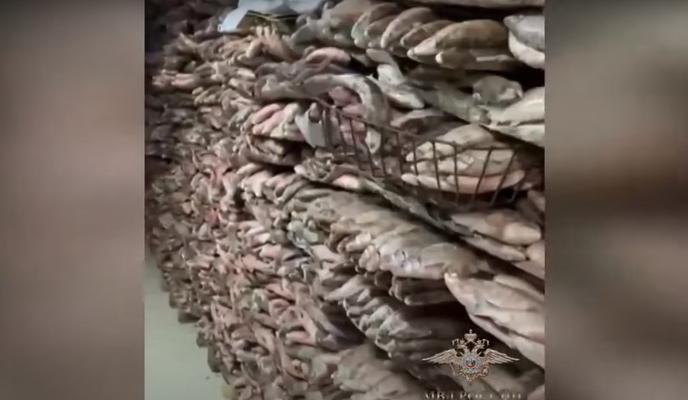 Bitrix 110963: nezakonnyy-ulov.jpg