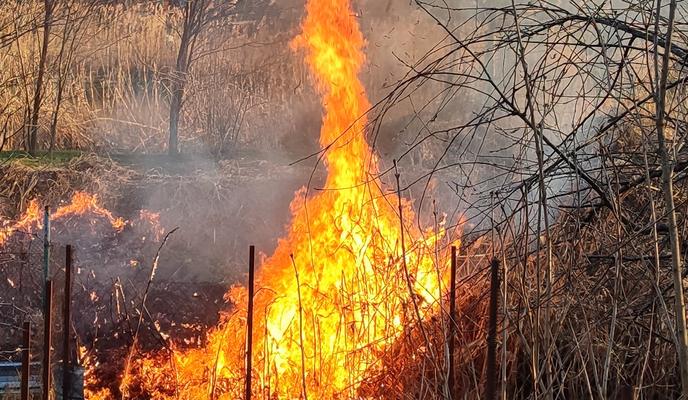 Bitrix 149147: ogon-.jpg