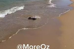 OK preview 14285783960192