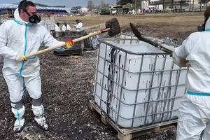 OK preview 14656731286144