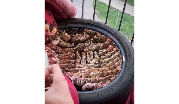 Bitrix 121612: okU2siZsjh5vjft3RTJcr6RM_2PQ8P9YOOXo7nLSNgfFl3Oj8fhxKL_R4weWIE1G_vaKDHIIbsKHSD5sF2au0hy_.jpg