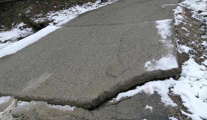 Bitrix 113303: opolzen-Sergey-Pole.jpg