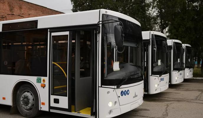 Bitrix 115625: otpeh6y062a8c738dcx0kqnawn1ef787.webp