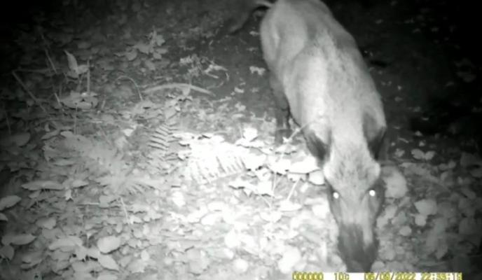 Bitrix 127031: p9mOYw6cnhxVXnf7QTxcn_OdcH0gQZ4GUUhava10JiShkaOTxkfDDE8OlCjaA2YsKkPhr01XJpfpKxQO1gELIfTz.jpg