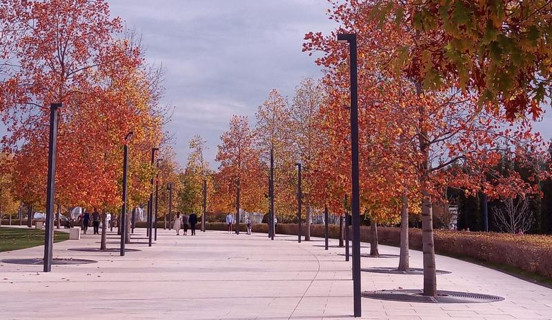 Bitrix 141897: park-Galitskogo-osen.jpg