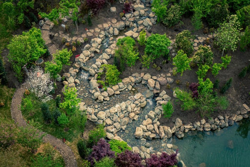 Bitrix 117300: park-novaya-ochered.jpg