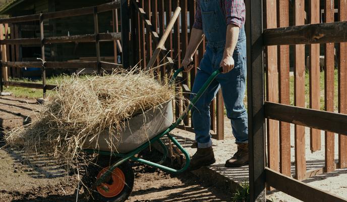 Bitrix 108789: pexels_cottonbro_4918094.jpg