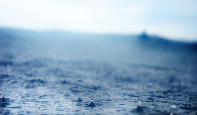 Bitrix 111445: pexels_emiliano_arano_1298688.jpg