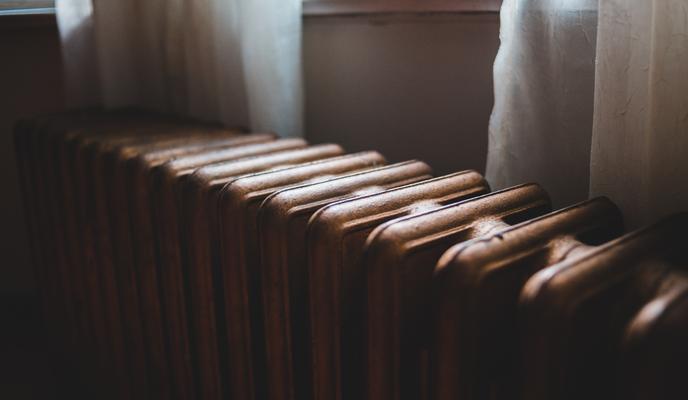 Bitrix 105103: pexels_erik_mclean_4819052.jpg