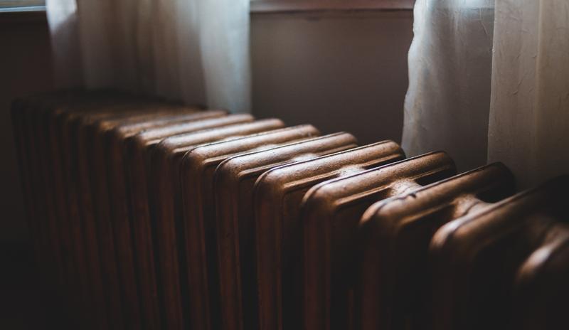 Bitrix 105103: pexels_erik_mclean_4819052.jpg