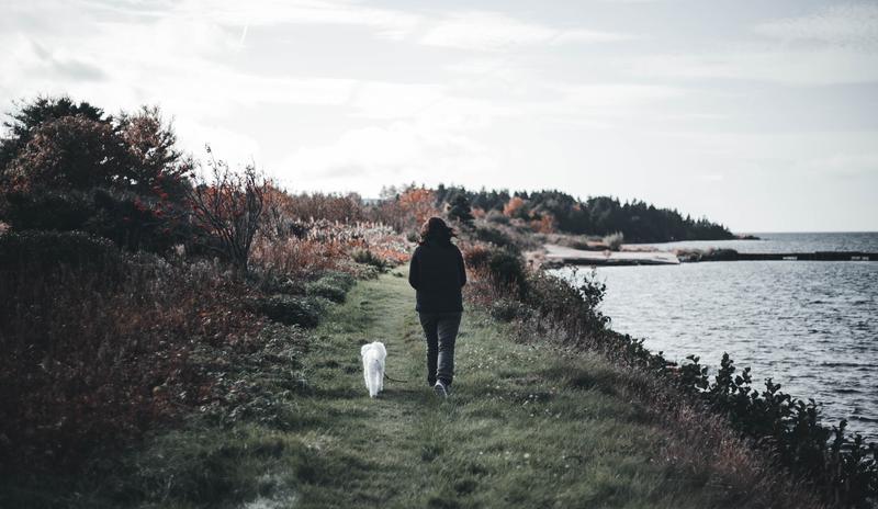 Bitrix 112409: pexels_erik_mclean_9901532.jpg