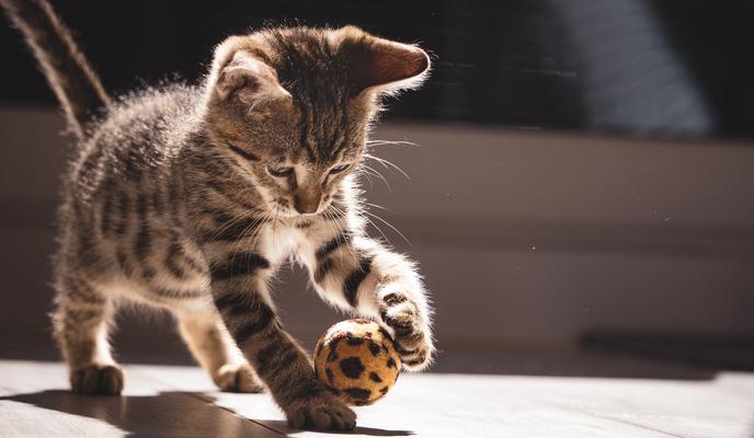 Bitrix 106059: pexels_hanna_8322213.jpg