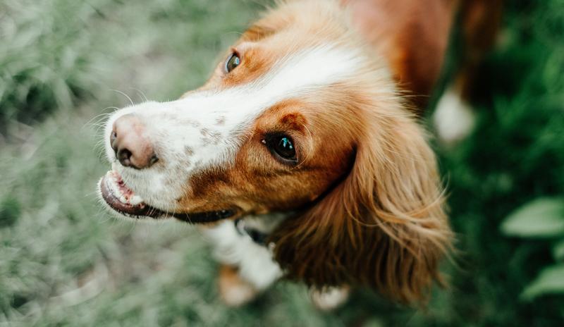 Bitrix 109213: pexels_harry_cooke_6194912.jpg