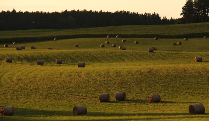 Bitrix 107615: pexels_jacob_6006803.jpg