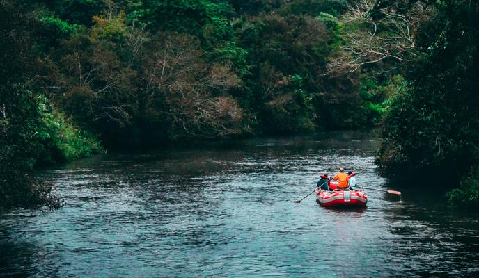 Bitrix 100936: pexels_jonny_lew_1615766.jpg