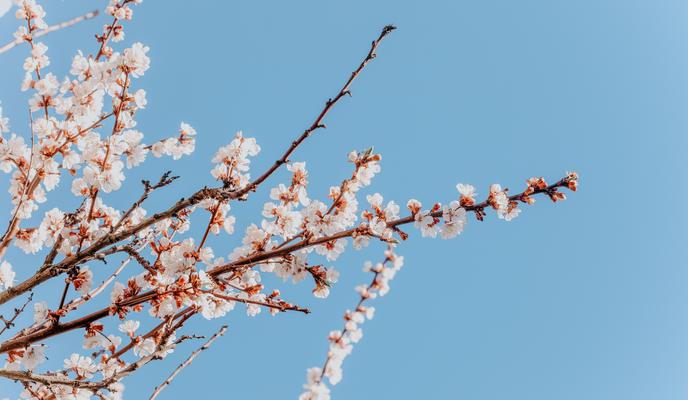 Bitrix 112540: pexels_julia_filirovska_7138304.jpg