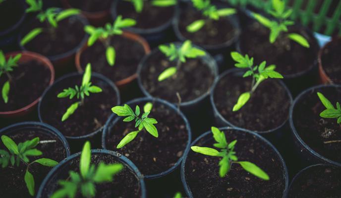 Bitrix 108241: pexels_kaboompics_com_5808.jpg