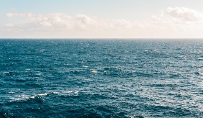 Bitrix 113722: pexels_kellie_churchman_1001682.jpg