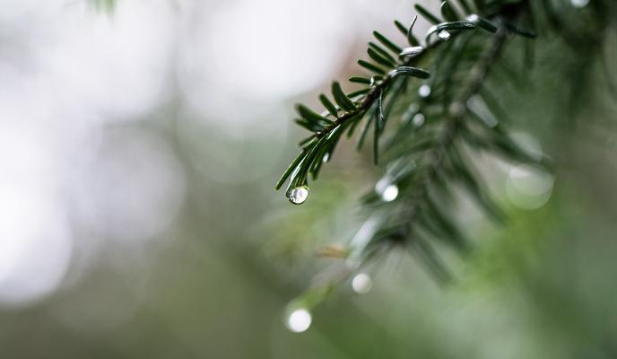 Bitrix 113587: pexels_lumn_1410224.jpg