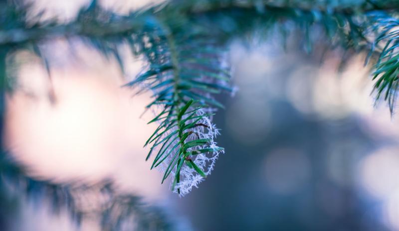 Bitrix 110024: pexels_lumn_284712.jpg